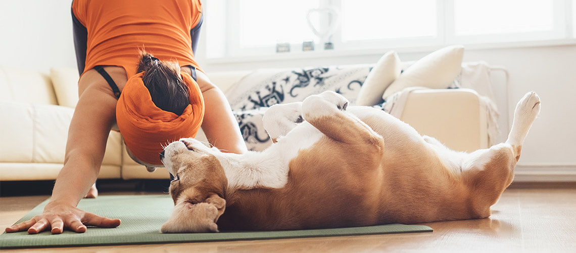 Una mujer haciendo yoga con un perrito a su lado